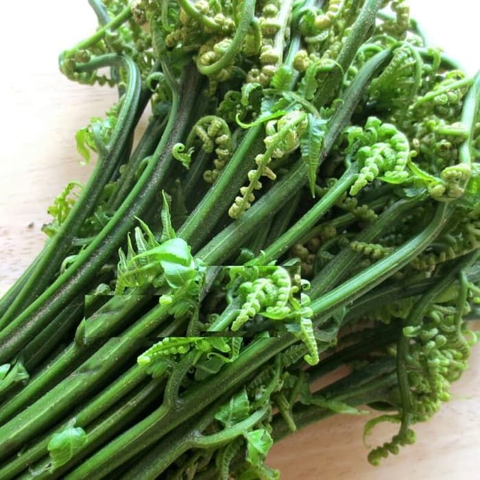 Daun Pakis Sayur Murah