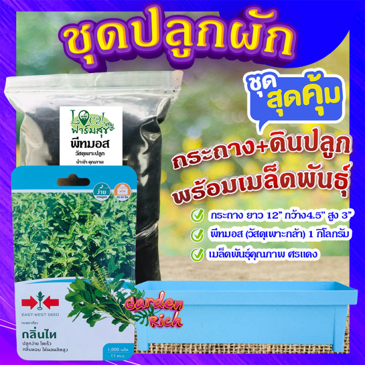 ชุดปลูกกะเพราเขียว Garden_rich พร้อมดินพีทมอสและเมล็ด