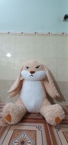 Gấu bông Thỏ Mặt giận dỗi đáng yêu Thỏ Bông Mặt quạu cute hàng bán chạy