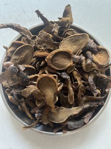 1kg Nấm Ngọc Cẩu khô nguyên búp dùng ngâm tửu giúp bổ thận tăng cường sức khỏe... Hàng VIP nguyên búp