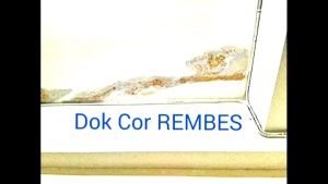 WR7 Obat Anti Bocor Rembes dan Jamur Bangunan