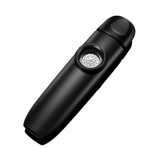 คาซู เครื่องดนตรีบรรเลงเฉพาะสำหรับผู้เริ่มต้น คาซูดิ เครื่องดนตรีที่น่าตื่นเต้นและนวลใจ สำหรับผู้ไม่มีพื้นฐานด้านดนตรี