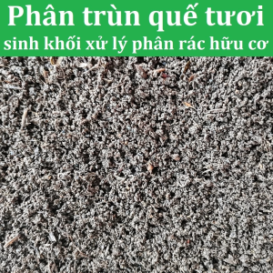 Phân trùn quế tươi 10kg - Sinh khối xử lý phân rác hữu cơ