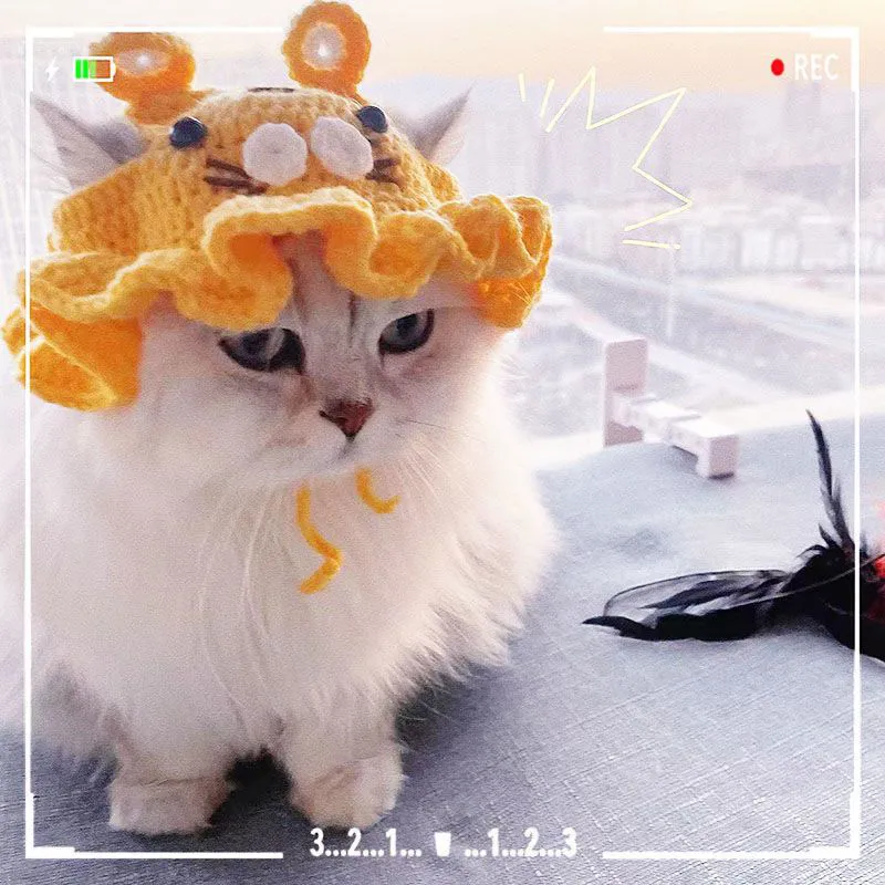 2022 Winter Cat Hat Elastic Cute Refined Hat Puppy Kittens Knitted