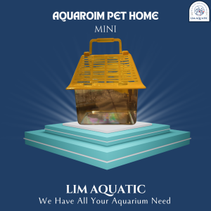 Aquarium Pet Home Mini  Rumah Mini Kura Kura