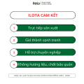 Trà oolong ô long nhài ILOTA pha trà sữa trà trái cây. 