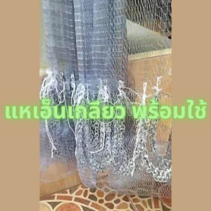 แหถูกๆ แหเอ็นเกลียว แหจับปลา แหไทย 3 cm ยาว 7-12 ศอก พร้อมเก็บปลายทาง