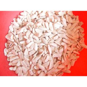TERMURAH BIJI MAHONI KUPAS KERING 1KG