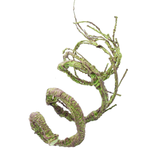 Life Like Vine Climbing Vine For Terrariums Decors Reptiles Habitats Artificial Vine Easy To Install Water Resistant