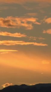 Shilajit Purest Himalayan Shilajit Resin - Gold Grade 100% Pure Shilajit with Fulvic Acid & 85+ Trace Minerals Complex for Energy & Immune Support 30 Grams (2 Months Supply)