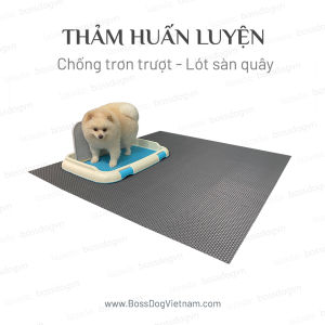 Thảm cho chó Huấn luyện & Chống trơn trượt & Giữ sạch sàn nhà | BossDog