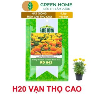 Hạt Giống Hoa Vạn Thọ Cao Nhiều Màu GreenHome Gói 01g~60 hạt Dễ Trồng Quanh Năm Hoa To H20