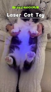 Cat Laser Pen Super Laser Pointer Pen Cat Pet Toy Red 3in1 USB Rechargeable