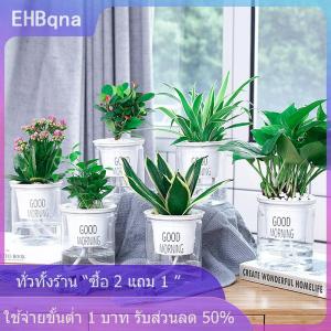 [COD] EHBqna KITCHEN หม้อดอกไม้โปร่งใส Self-watering พืชดอกไม้หม้อตกแต่งบ้านสวน