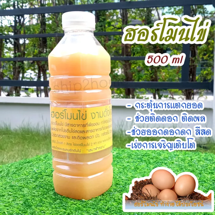 10 อันดับ ฮอร์โมนพืชชีวภาพ ยี่ห้อไหนดี? เร่งดอก เร่งผล บำรุงต้น อัปเดตปี 2025