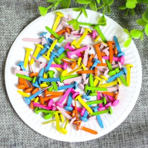 Set 100 đinh cánh phượng/ đinh ghim 2 chân làm học liệu con rối BIGBA