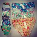 A&C #6PCS #03-A  PANTY WOMENS COTTON. 