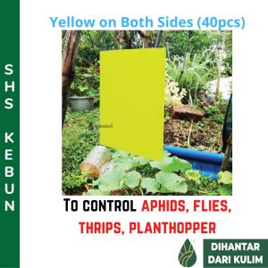 40 pcs Sticky Trap for Garden Pest Control Organic Farming Double Sided 20 x 25 cm SHS KEBUN