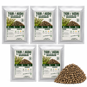 TIGBI OR ADLAI SEEDS FOR PLANTING