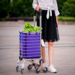 (ตะกร้าใหญ่สุด) รถเข็นตะกร้าจ่ายตลาดอเนกประสงค์ พับเก็บได้ใส่ของที่ชิ้นใหญ่กว่าได้ ลากขึ้นบันไดได้(แถมถุงผ้า)