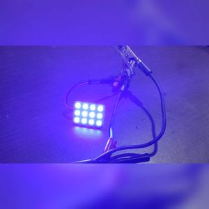 Lampu LED Plafon Kabin Mobil Biru 12 Volt 12 Mata