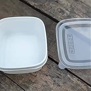 矮生夏堇种子四季播种开花春季室内阳台盆栽花草花卉种子庭院花子