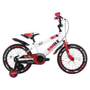 Panther Smile Kids Bike 3-10 Years Lightweight Aluminum Frame Training Wheel | Christmas Gift 🎄