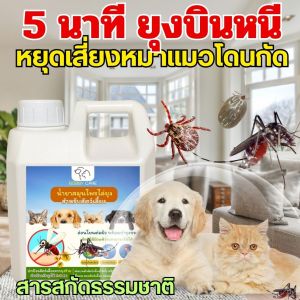 โปรสุดคุ้ม!!  Bobby น้ำยาไล่ยุง สารสกัดจากตะไคร้หอมและเปลือกส้ม (ขนาด 2 ลิตร) + 𝗠𝗢𝗡𝗧𝗬 แชมพูอาบน้ำ แชมพูดับกลิ่นตัวสัตว์เลี้ยง (ขนาด 1 ลิตร) สูตรออแกร์นิค แถมฟรี! แปรงอาบน้ำ สเปรย์กันยุง สำหรับสัตว์ผิวแพ้ง่าย