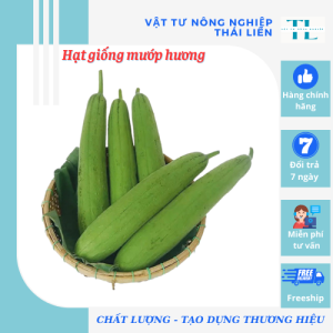 Hạt giống Mướp Hương lai F1 Thuận Điền (10 Hạt) - Giống Tốt Bội Thu