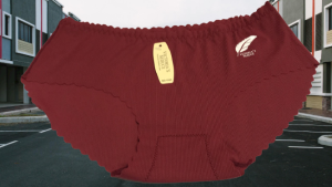 Quần Lót Nữ - Su Gân in Logo Chiếc Lá 1523 Freesize (45-55Kg 👉 Bảng chọn SIZE tham khảo) - Quần Chip Nữ lưng thun co dãn 4 chiều thoải mái vải mỏng nhẹ thoáng mát