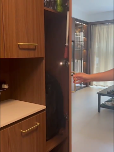 2pcs universals pickleballs paddles chủ Giá Treo Gắn tường thép không gỉ pickleballs hàng rào móc Vợt Tennis Clip