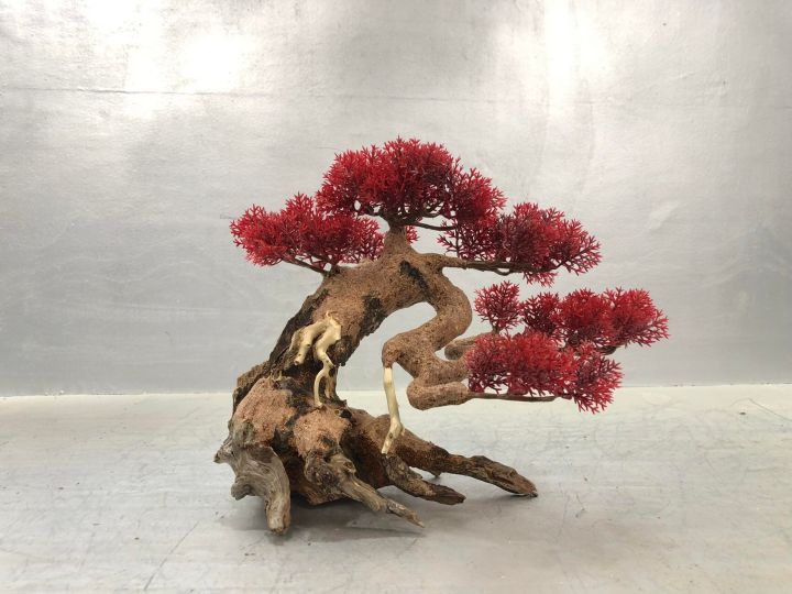 L%C5%A9a%20Bonsai%20mini%20cho%20h%E1%BB%93%20th%E1%BB%A7y%20sinh%20-%20X%C6%B0%E1%BB%9Fng%20L%C5%A9a%20Mr%20Wood%20-%20Image%202