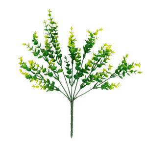 Hiasan Rumah Daun Eucalyptus Runcing Property Tambahan Foto – AL15XX