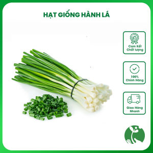 Hạt giống Hành lá gói 1gr - Tỉ lệ nảy mầm >90% năng suất cao