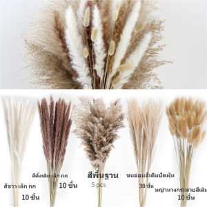 Taiva COD ช่อดอกไม้แห้ง40cm สไตล์นอร์ดิก แต่งบ้าน ของขวัญ ไม่ร่วงโรย ช่อดอกไม้รวมDIYหญ้าเปมเปาส หญ้าโลวีต์เล็ก