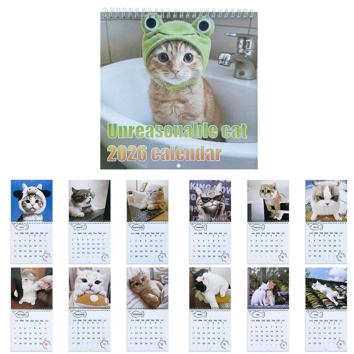 Boco 2026 lịch treo tường mèo chủ đề dễ thương mèo lịch 2026 2026 vui ...