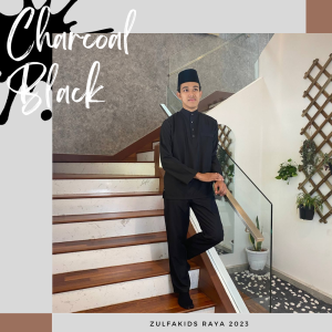 Baju Melayu Raya Dewasa Slim Fit Moden Baby Blue Navy Blue Lilac Purple Hitam Kurta Ayah Dad Sedondon Family Murah 2023