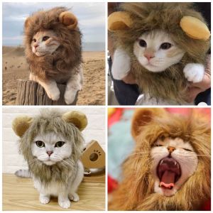 Nón Mũ đội đầu cho thú cưng cao cấp cosplay nhiều kiểu dáng dễ thương