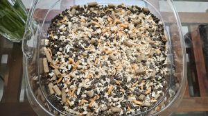 [ Túi 5kg ] Hạt LANGLIKE siêu topping 40% đạm cho mèo hạt mix topping cao cấp không trứng cho mèo mọi lứa tuổi