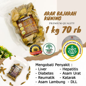 Akar Kayu Bajakah Kuning 1kg Akar Kuning Asli Kalimantan