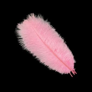 EASYEAH 10Pcs Stage Props Ostrich Feathers Table Accessories 15-20cm Ostrich Plumes Gifts DIY Feather Accessories Wedding Decoration