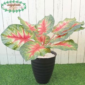 Pohon Imitasi Keladi Merah X9 Semi Latex Pot Tawon Pirus Hitam Tanaman Hias Ruang Tamu