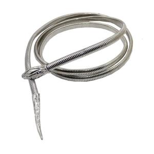 Phong cách thắt lưng eo hiện đại thắt lưng eo vành đai phụ kiện rắn thắt lưng eo Thắt lưng thời trang bên vành đai hiện tại cho người phụ nữ cô gái