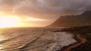 EXP:2026 SKIN1004 Madagascar Cenla Ampoule 100ml เซรั่ม เกาหลี ด้วยสารสกัดบริสุทธิ์จากมาดากัสการ์