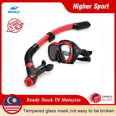WHALE MK2600 + SK900 Professional Adult Diving Silicone Glasses Snorkel Set