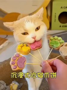 [SG] [40PCS] Cat Paw Shaped Freeze Dried Cat Treats 4 Flavors High Protein Snack for Cats
