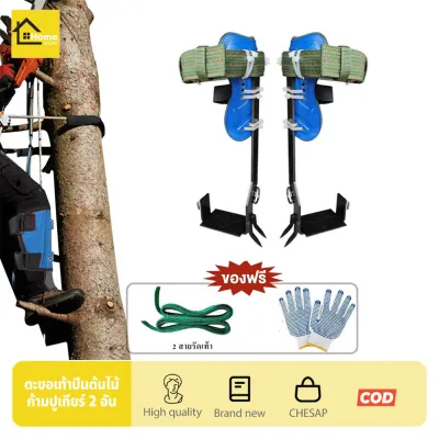 La5 ที่ปีนต้นไม้ อุปกรณ์ปีนต้นไม้ Tree Climbingปีนต้นไม้ ต้นไม้ รุ่น เข็มขัดเซฟตี้ Tree Pole Climbing Spike ​Set เข็มขัดนิรภัยคาดเอวครึ่งตัว สามารถทนต่อน้ำหนักได้ 100 กิโลกรัม