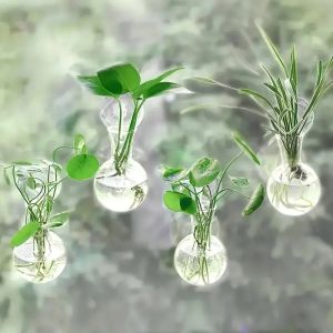 FLEURS 4pcs/set Trong suốt Bình hoa treo tường với giác hút Chai đựng cây cảnh Chậu hoa nhỏ Hiện đại Tự tưới nước Bình trồng cây thủy canh Trang trí nhà cửa
