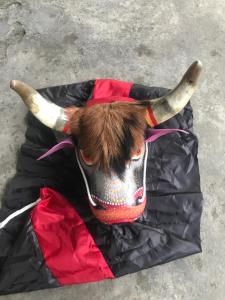 (TANDUK ASLI) BANTENGAN / BANTENG (BONUS KEMUL) MAINAN KESENIAN TARI TRADISIONAL