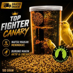 SEMPATI Top Fighter Canary Sempati Pakan Lomba Burung Kenari Juara Berkicau Rajin Bunyi Gacor CRHSBK